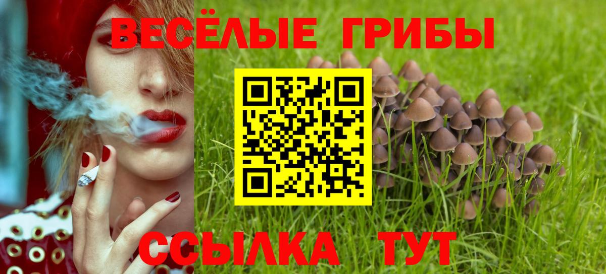 Псилоцибиновые грибы Magic Shrooms Киржач